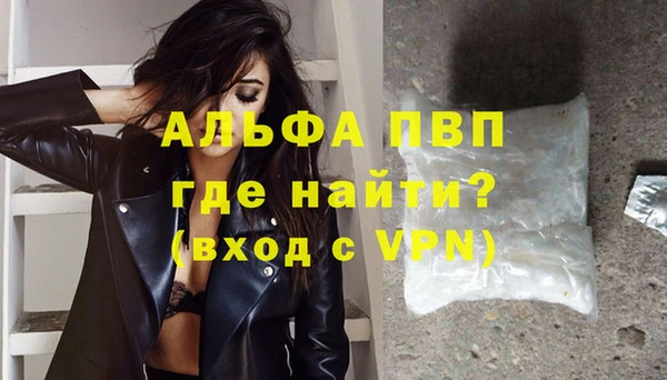 прущие грибы Куйбышев